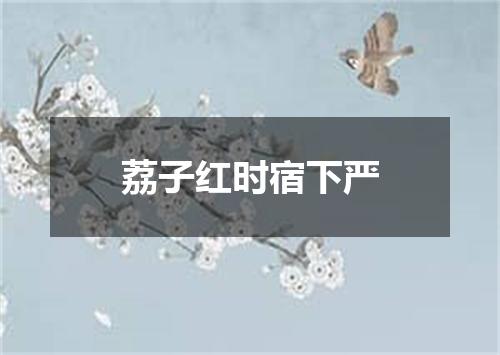 荔子红时宿下严