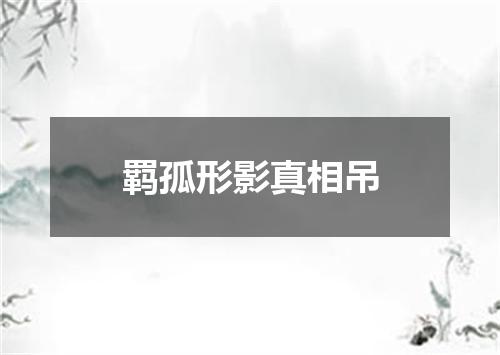 羁孤形影真相吊