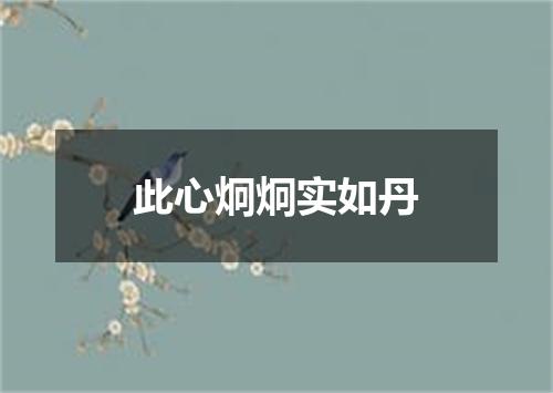 此心炯炯实如丹