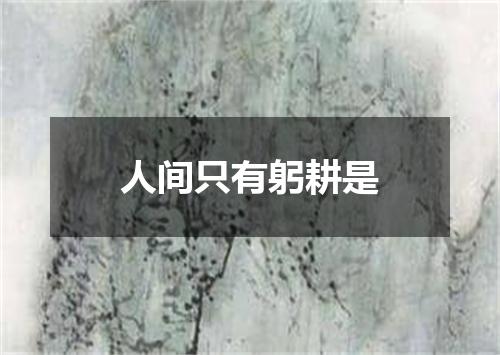 人间只有躬耕是