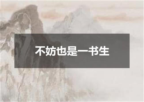 不妨也是一书生