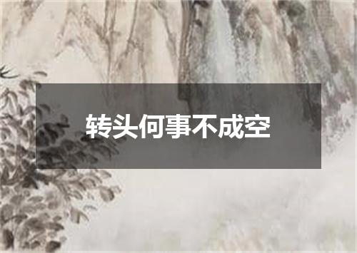 转头何事不成空