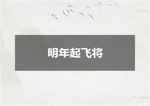明年起飞将