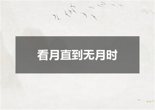 看月直到无月时