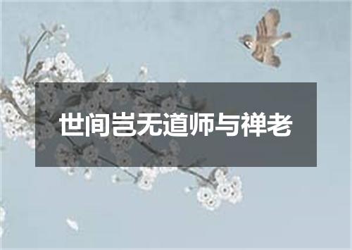 世间岂无道师与禅老