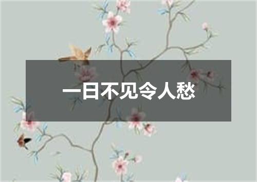 一日不见令人愁