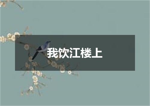 我饮江楼上