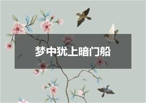 梦中犹上暗门船