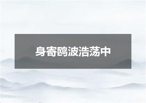 身寄鸥波浩荡中