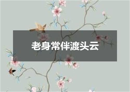 老身常伴渡头云