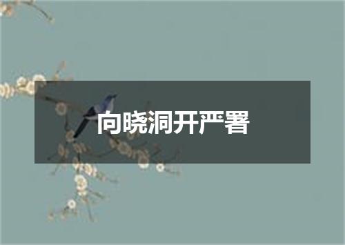 向晓洞开严署