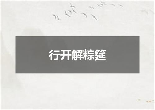 行开解粽筵