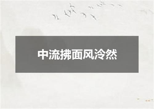 中流拂面风泠然