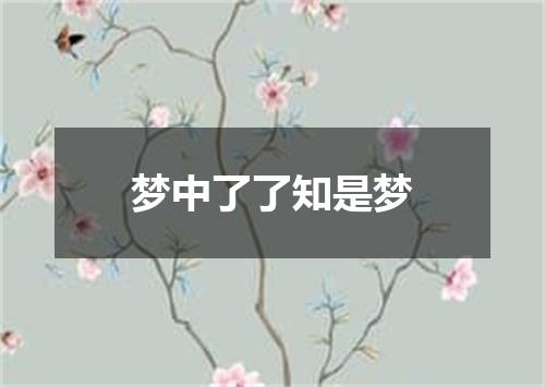 梦中了了知是梦