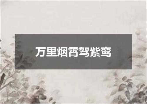 万里烟霄驾紫鸾