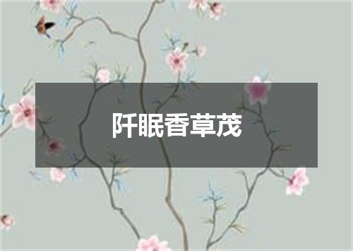 阡眠香草茂