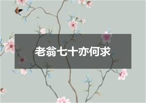 老翁七十亦何求