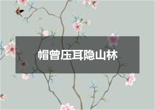 帽曾压耳隐山林