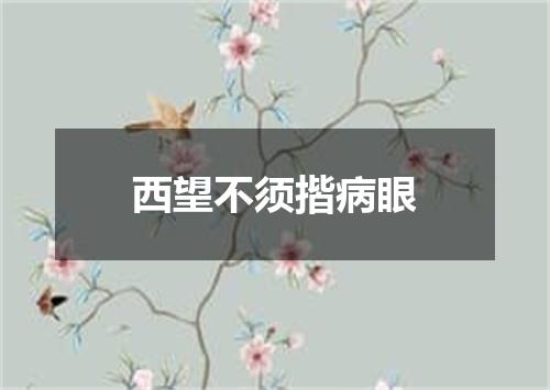 西望不须揩病眼
