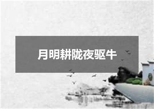 月明耕陇夜驱牛