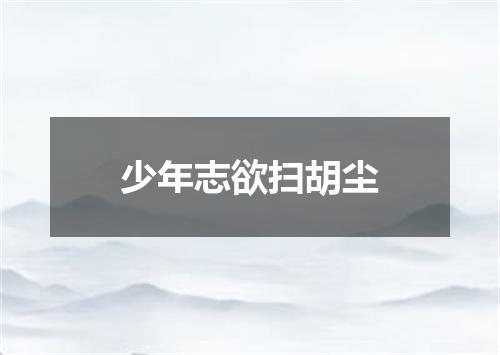 少年志欲扫胡尘