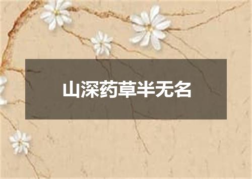 山深药草半无名