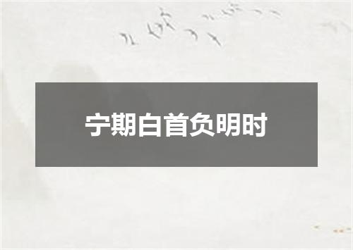 宁期白首负明时