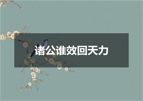 诸公谁效回天力