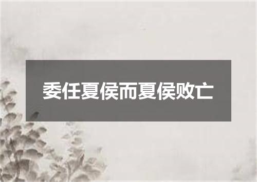 委任夏侯而夏侯败亡