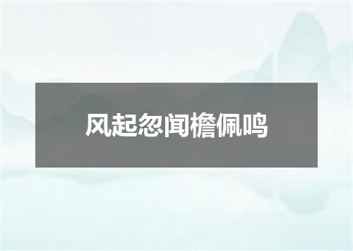 风起忽闻檐佩鸣