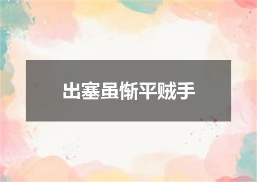 出塞虽惭平贼手