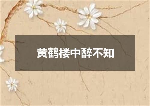 黄鹤楼中醉不知