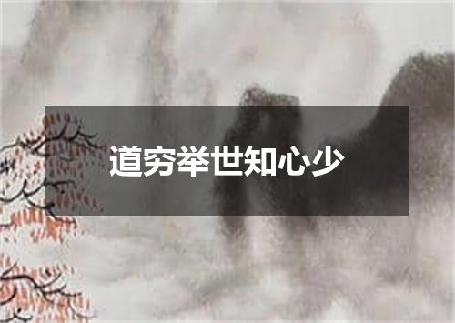 道穷举世知心少