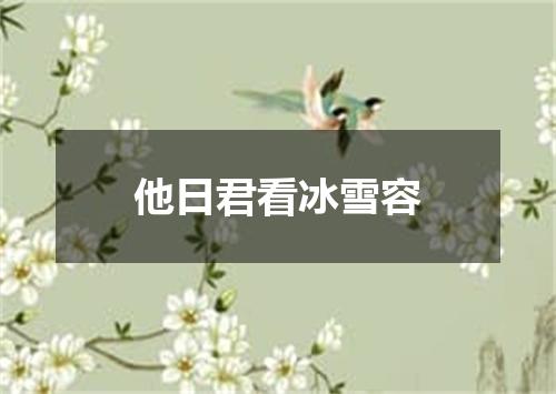 他日君看冰雪容