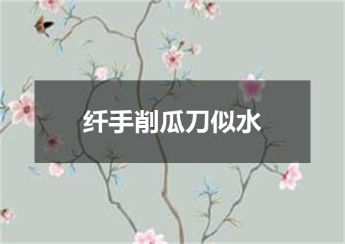 纤手削瓜刀似水