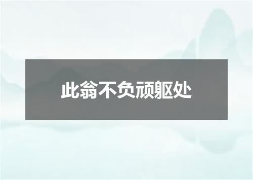 此翁不负顽躯处