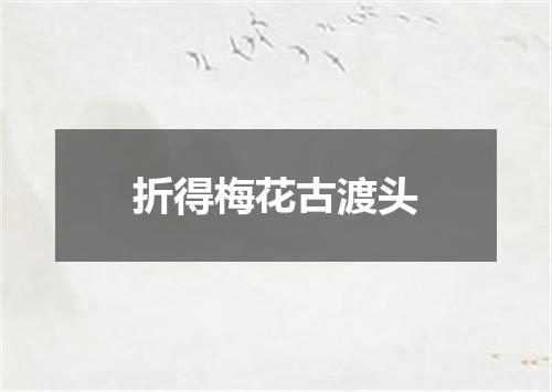 折得梅花古渡头