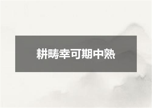 耕畴幸可期中熟