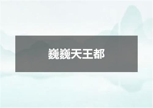 巍巍天王都