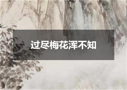 过尽梅花浑不知