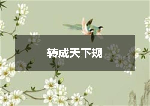 转成天下规