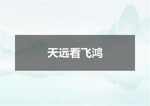 天远看飞鸿