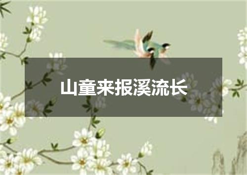 山童来报溪流长