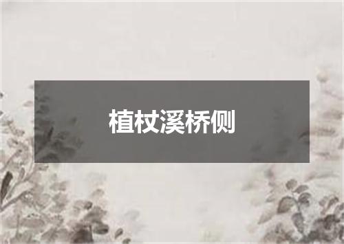 植杖溪桥侧