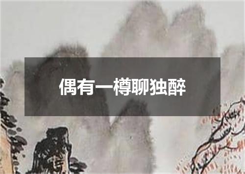 偶有一樽聊独醉