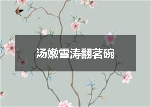 汤嫩雪涛翻茗碗