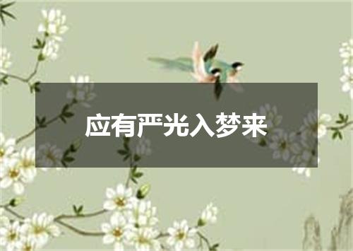 应有严光入梦来
