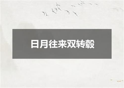 日月往来双转毂