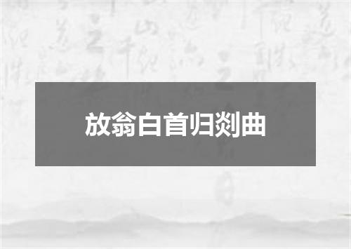 放翁白首归剡曲