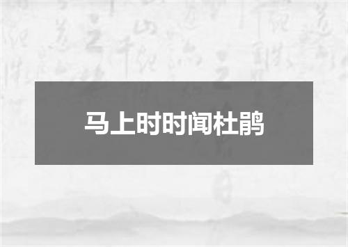 马上时时闻杜鹃
